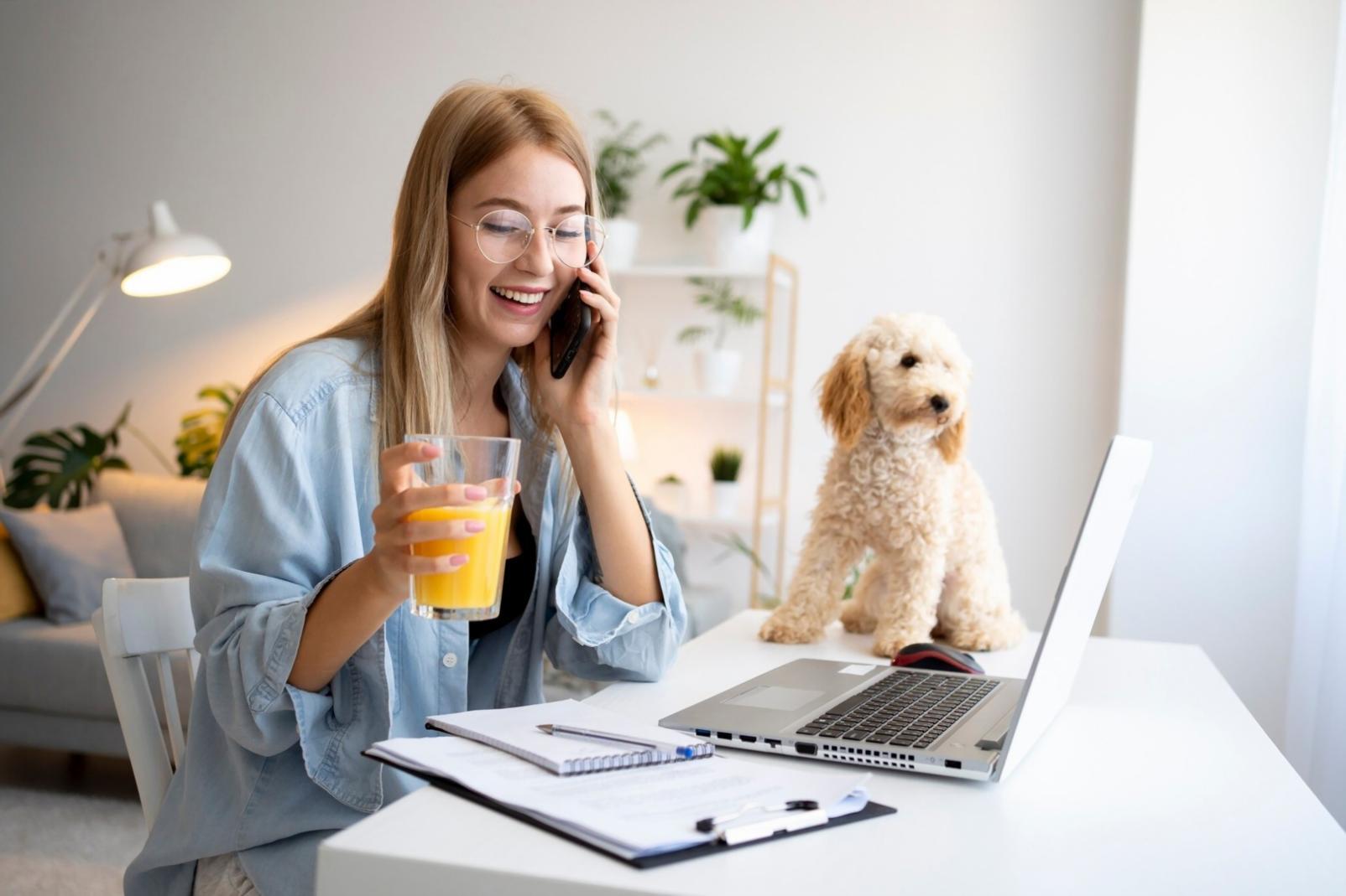 Formation en investissement émotionnel - séance de travail collaborative